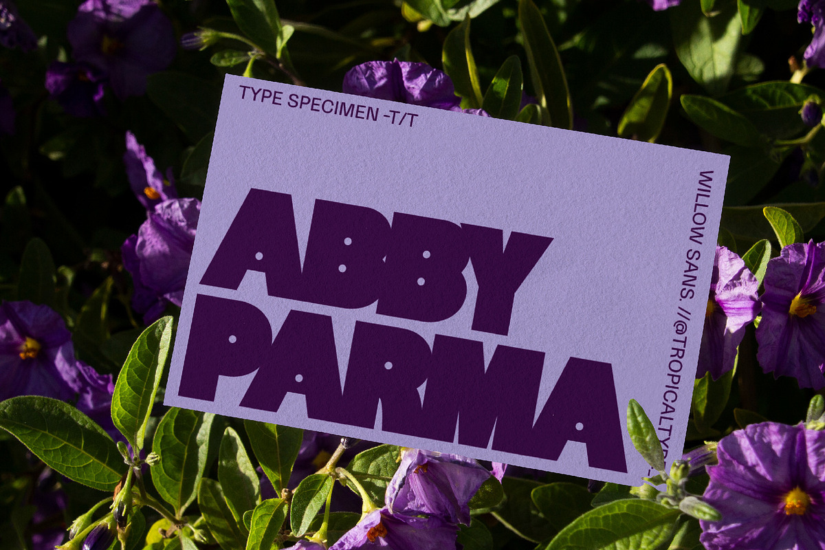 Willow Sans, a Sans Serif Font by Tropical Type (Photo 5 of 11)