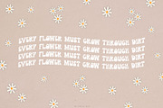 Grapefruits | A Retro Display Font, a Script Font by Michèle Kae (Thumbnail 6 of 10)