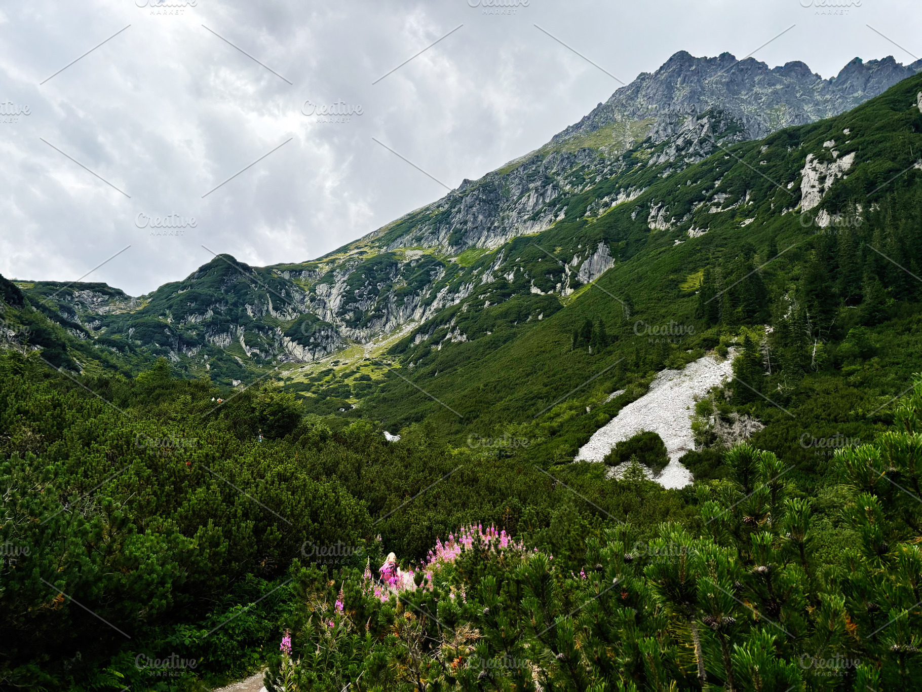 Scenic mountain valley near Zakopane Poland with alpine greenery and rugged pea, a Nature Photo by AS photostudio