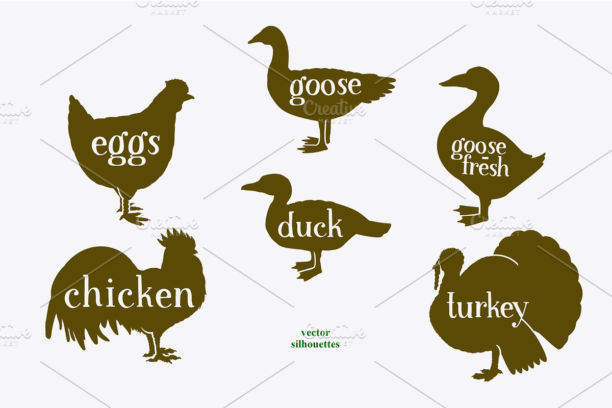 Farm Birds Vector collection, an Animal Illustration by Lubov Illustrations Shop (Photo 6 of 6)