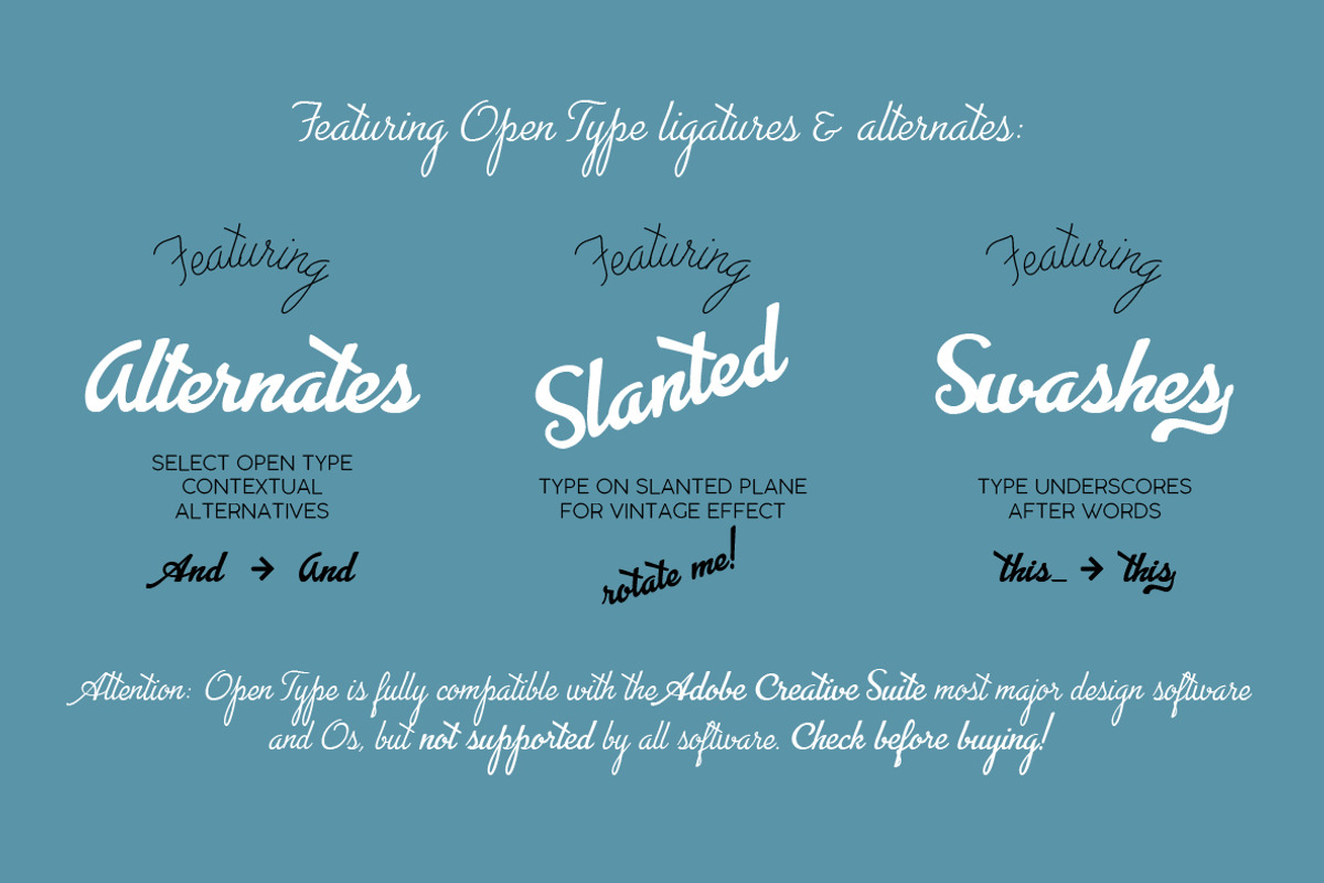 Advertising Script - 5 fonts preview 3