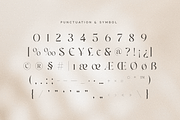 Bailey - Classy Luxury Logo Font, a Serif Font by Sensatype (Thumbnail 12 of 13)