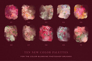Floral and Lace Photoshop Brushes preview 3