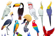 Tropical birds & flowers, an Object Graphic by Anastasia (Thumbnail 8 of 12)
