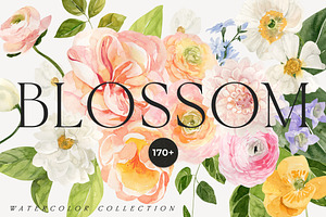 BLOSSOM Spring Watercolor Flowers, a Decorative Illustration by Lana Elanor
