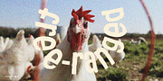 Organico, a Handwritten Font by Papertype (Thumbnail 3 of 6)