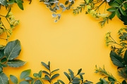 99 Frames of green leaves, a Nature Photo by Handmadefont (Thumbnail 18 of 100)