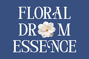 Delmora Elegant Display Serif Font, a Serif Font by Vadovastd (Thumbnail 4 of 8)