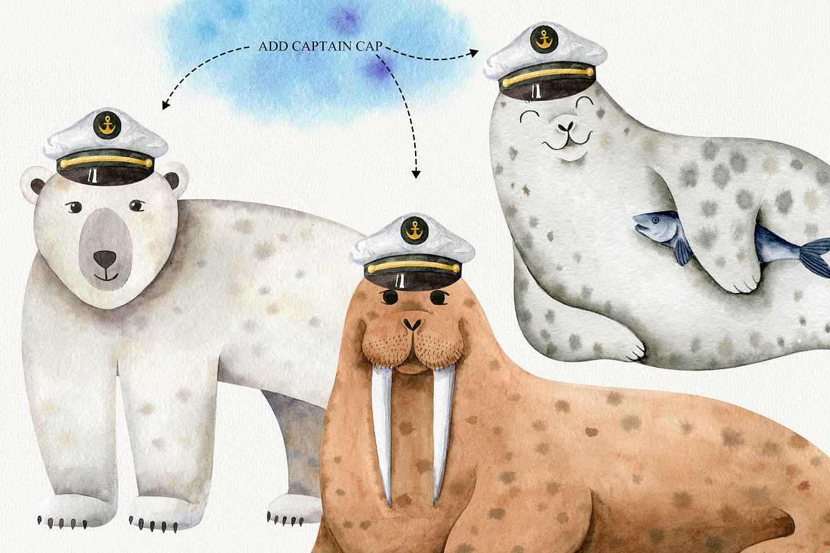 Northern Sea Watercolor Set, an Animal Illustration by Natalia Fedorova (Photo 4 of 16)