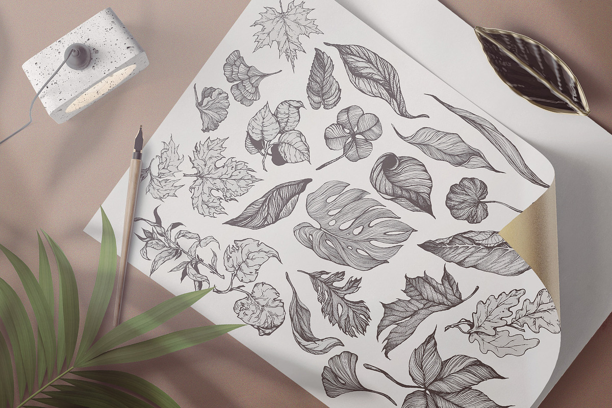 Touch of Nature Collection, a Decorative Illustration by Michael Rayback Design (Photo 4 of 20)