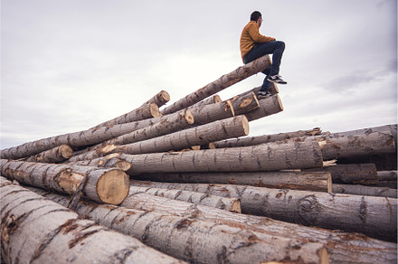 man sitting trunks of cut wood