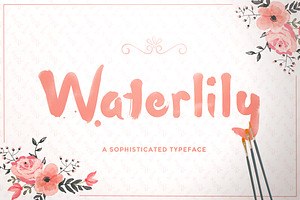 Waterlily Typeface, a Font by Lollipop Hand Drawn