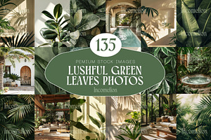 135 Green Leaves Stock Photos, a Nature Photo by Incomelion