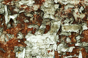 grunge background, a Photo by saiko3p