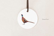 British Wildlife Species Set - PNGs, an Animal Illustration by LaurenFittonIllustration (Thumbnail 10 of 10)
