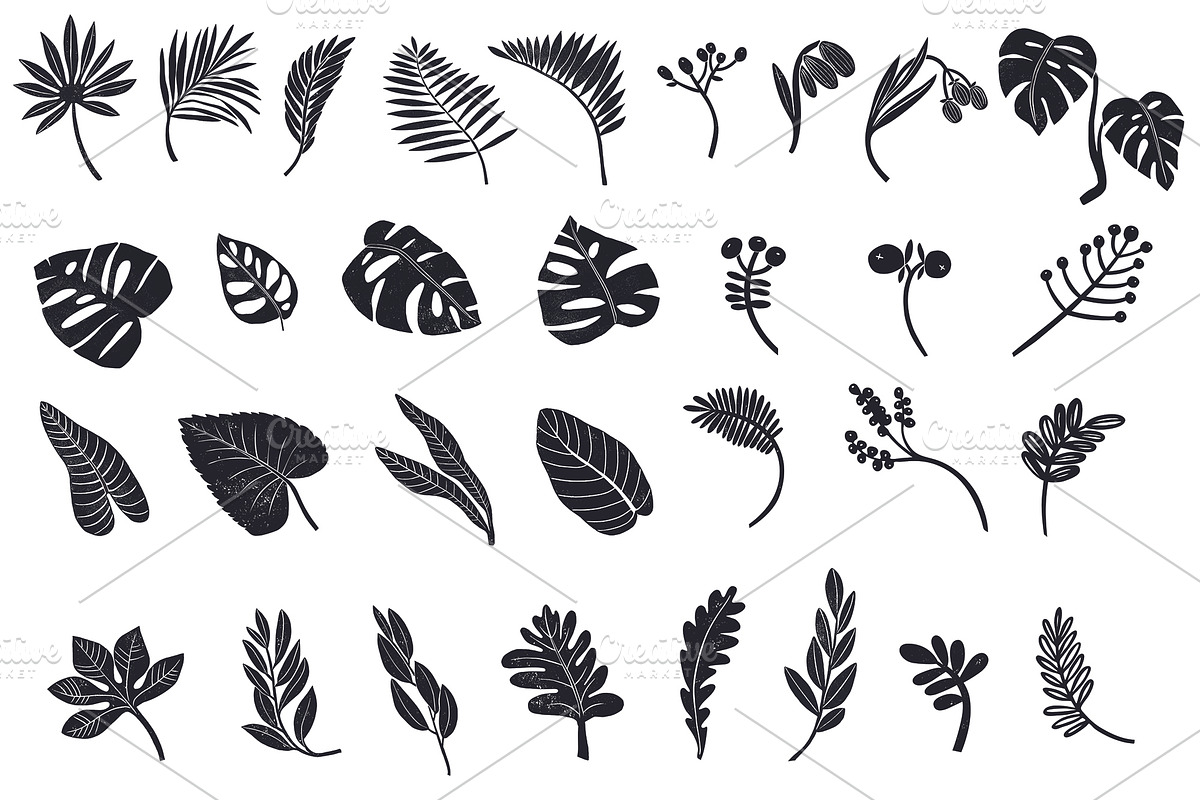 Sale Botanicum, a Texture Illustration by Mii Lab (Photo 12 of 13)