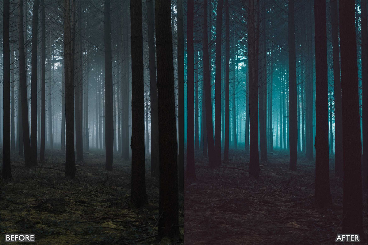 Dark and Moody Lightroom Presets, a Preset Add-On by AAA Presets (Photo 4 of 17)