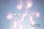 Bloom Veil: Dreamy Floral, a Background Graphic by Hello Muse (Thumbnail 2 of 10)