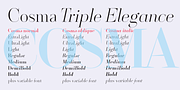 Cosma, a Serif Font by Wiescher-Design (Thumbnail 7 of 11)