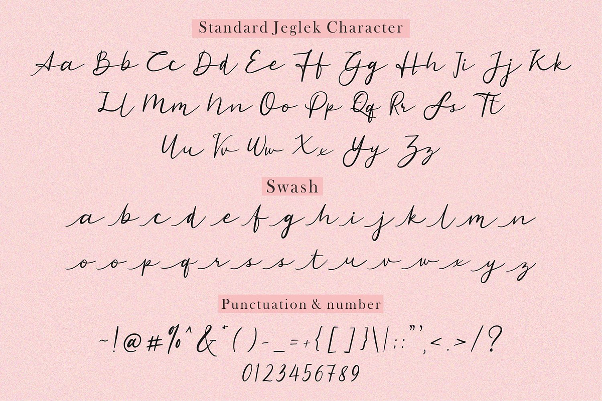 Standard Jeglek Font, a Script Font by Allouse Studio (Photo 4 of 10)