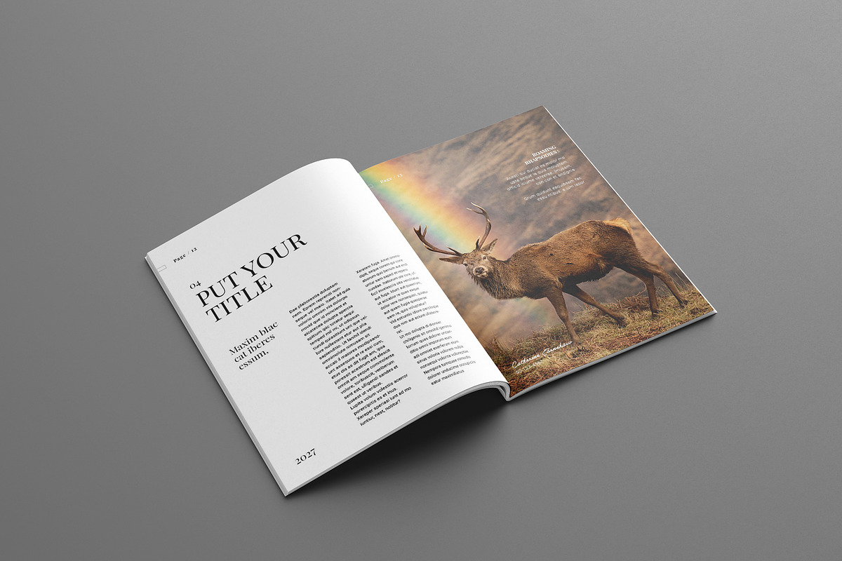 Portfolio Brochure Layout, a Brochure Template by Seeing-art (Photo 7 of 11)