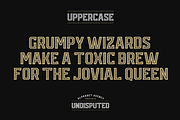 UNDISPUTED FONT DUO, a Serif Font by Alphabet Agency (Thumbnail 2 of 9)