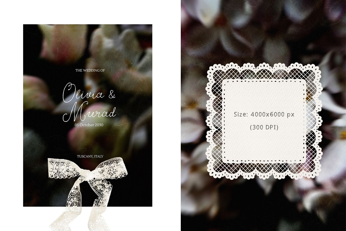 Dark bloom. Floral Backgrounds, a Background Graphic by PaperJamLab (Photo 5 of 14)