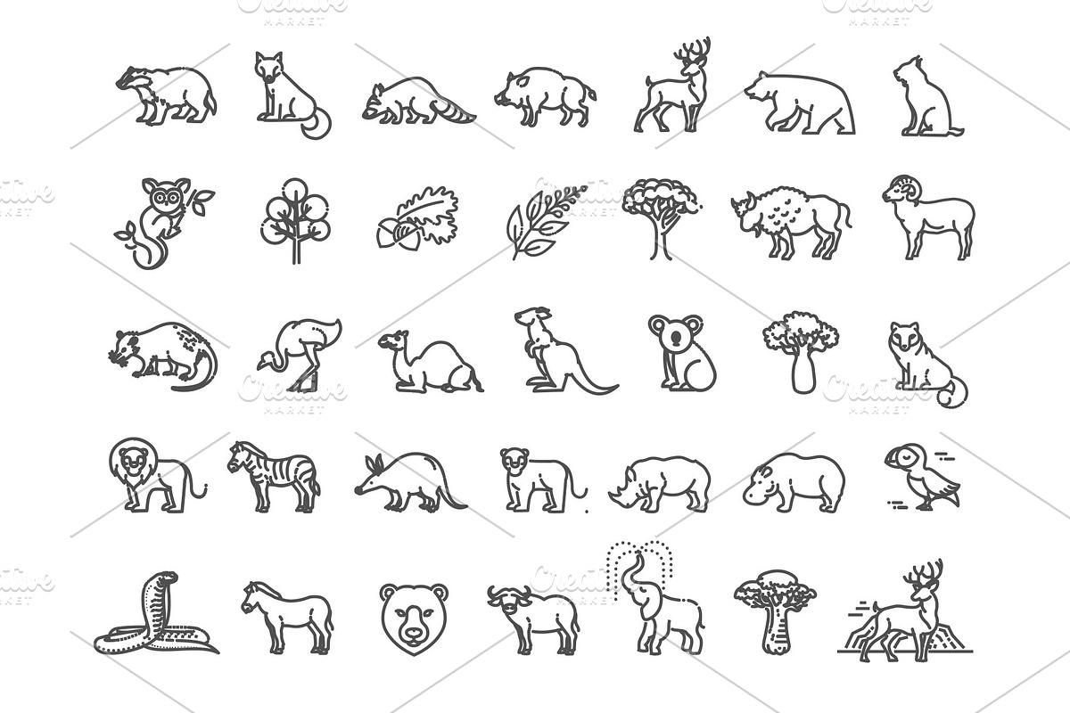 Animal Icons. Vector Outline Set, an Animal Illustration by Tettygreen (Photo 1 of 3)