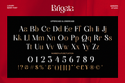 Brigata - Modern Luxury Branding, a Serif Font by Qweera Studio (Thumbnail 12 of 12)