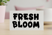 Queen Easter, a Script Font by FreshTypeINK (Thumbnail 7 of 8)