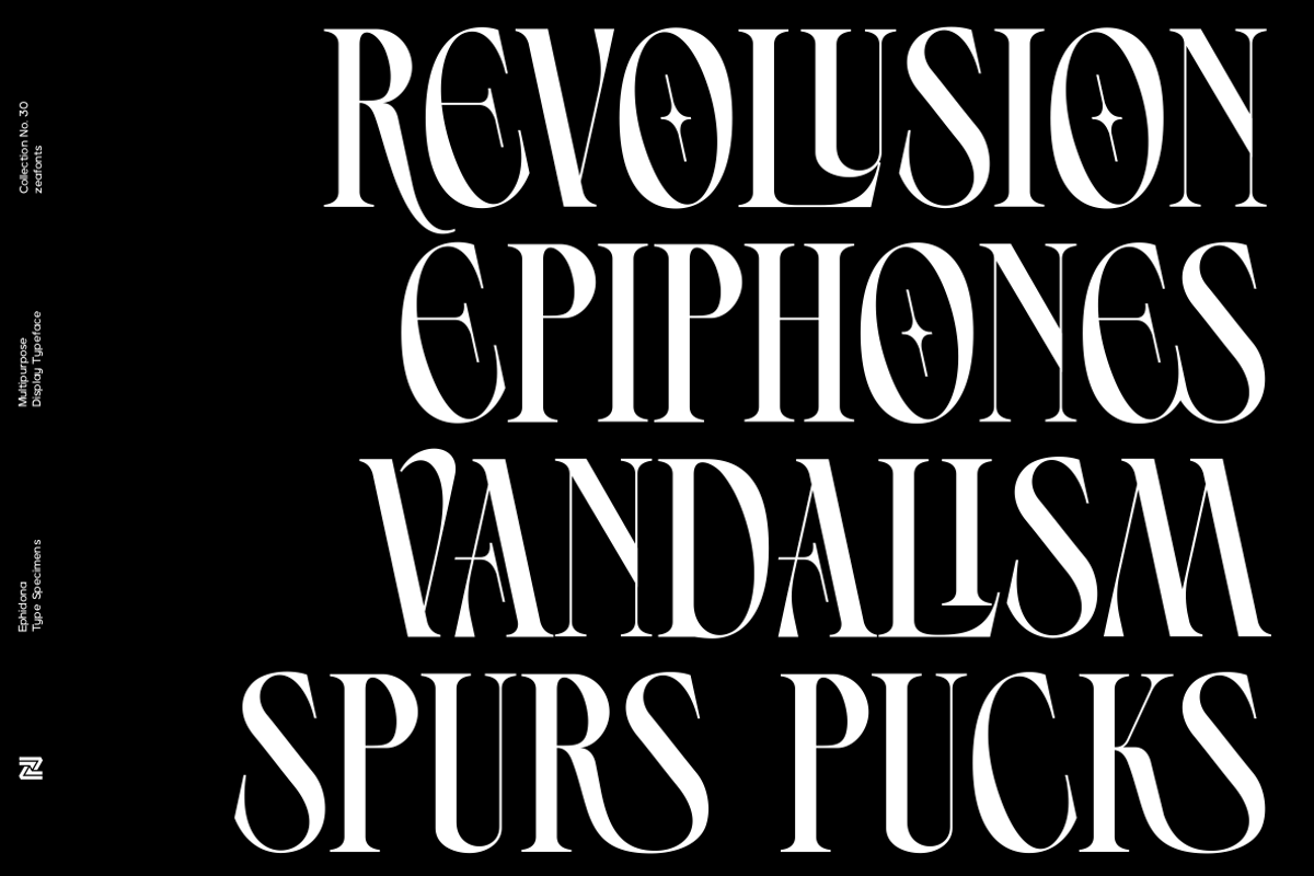 Ephidona, a Serif Font by Bagerich Type Foundry (Photo 2 of 16)