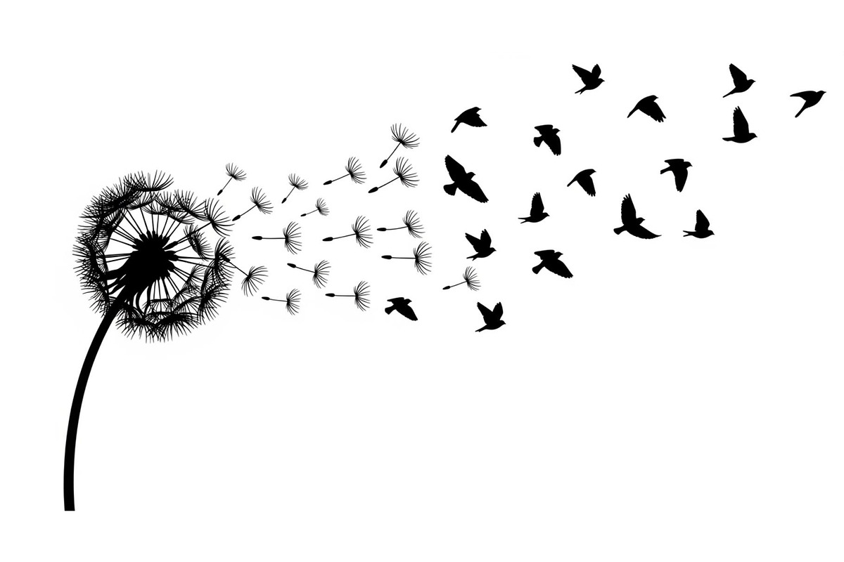 Dandelion Blow Silhouette Bundle, an Illustration by yasushie (Photo 14 of 31)
