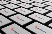 Gradient Modern Humming Bird Logo, a Branding & Logo Template by Artnivora.Std (Thumbnail 4 of 4)