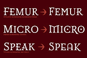 Mr Darcy, a Serif Font by insigne (Thumbnail 5 of 5)