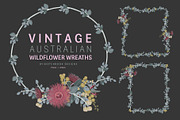 VINTAGE AUSTRALIAN WILDFLOWER SET, an Illustration by Sketchbook Designs (Thumbnail 2 of 12)