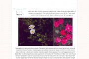 Honeycomb PSDs, a Pattern Graphic by michLg designs (Thumbnail 4 of 4)