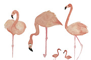 Watercolor Birds, a Pattern Graphic by Valeri Nick (Thumbnail 4 of 6)