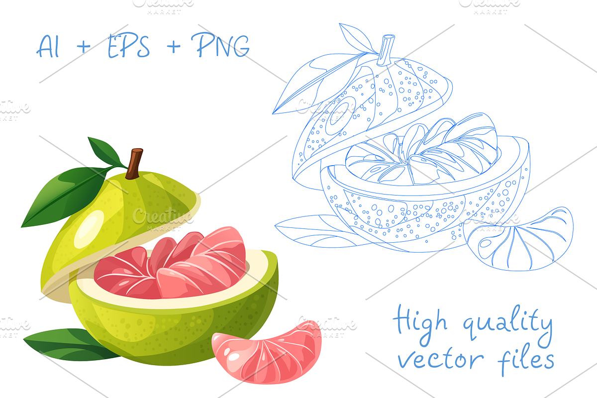 20 Tropical Fruits Icons Vector Set, an Object Graphic by Art of Sun (Photo 2 of 3)