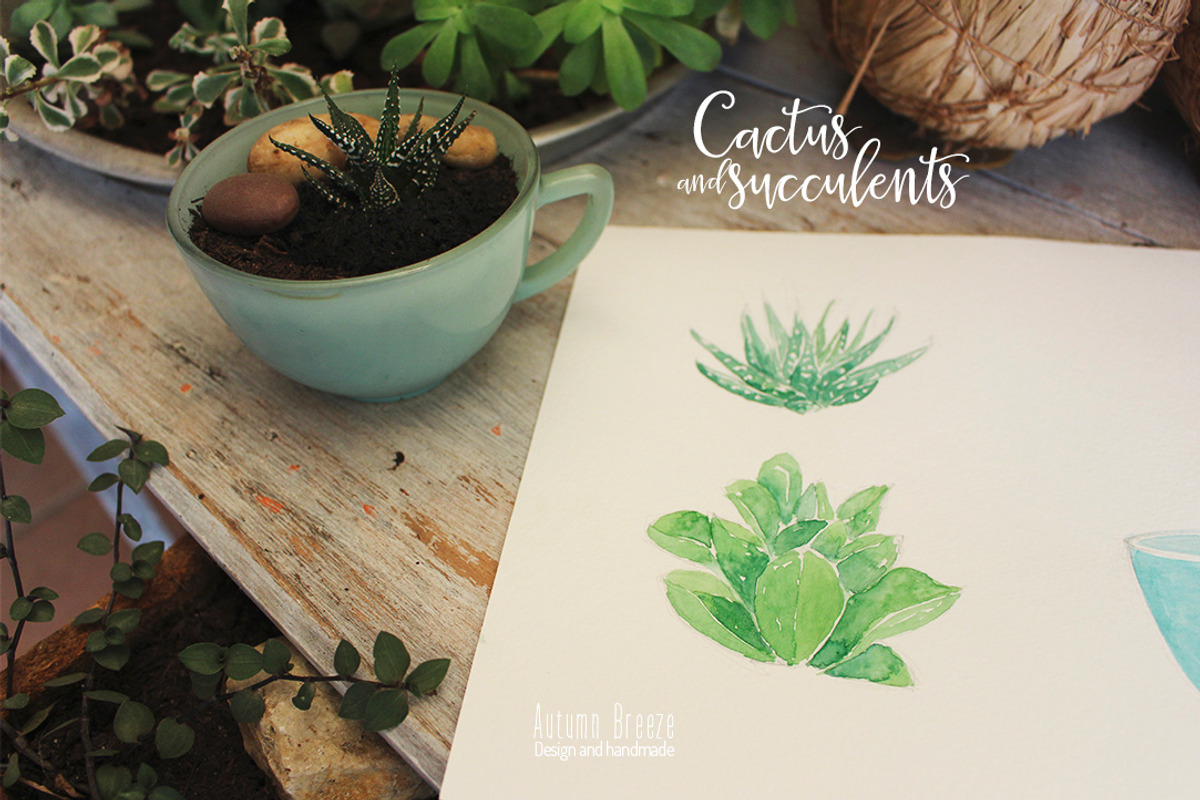 watercolor  CXactus and succulents, a Decorative Illustration by Autumn Breeze (Photo 3 of 3)