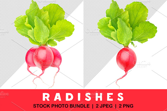 Red Radishes