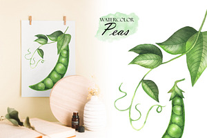 Watercolor Peas