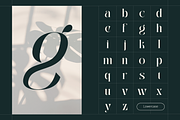 Abogia - Modern Serif Logo Font, a Serif Font by Nirmana Visual (Thumbnail 3 of 16)