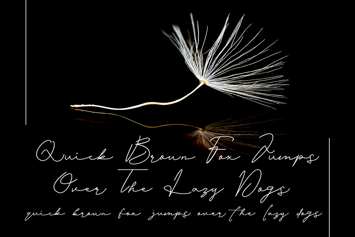 Alexandria Rose, a Script Font by Beautypes (Photo 5 of 7)