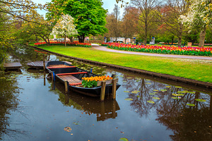 Ornamental boat and colorful flowers, a Nature Photo by Alpine Dreams