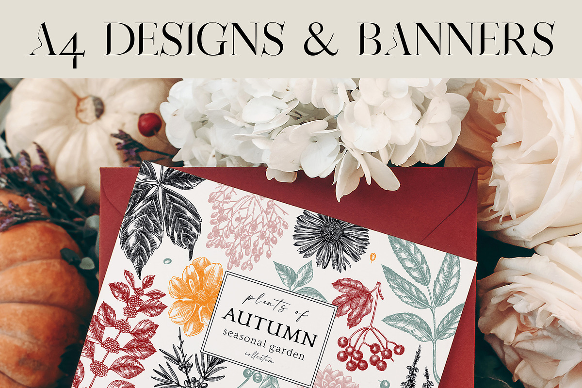 Autumn Flowers & Birds Vector Set, an Object Graphic by Yevheniia (Photo 5 of 8)
