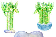 Lucky Bamboo - watercolor clipart, an Illustration by AqwaColor (Thumbnail 3 of 4)