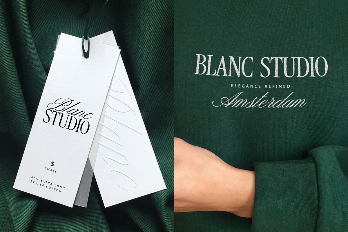 Darline Font Duo, a Script Font by Davide Bassu (Photo 9 of 18)