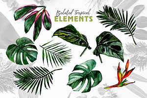 Tropical Jungle Watercolor Png