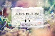 Winter Wonderland Lightroom Preset, a Plug-in Add-On by Jana Mänz Photography (Thumbnail 4 of 8)