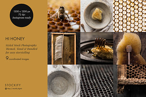 Hi Honey - Hive, Honey & Bee Bundle